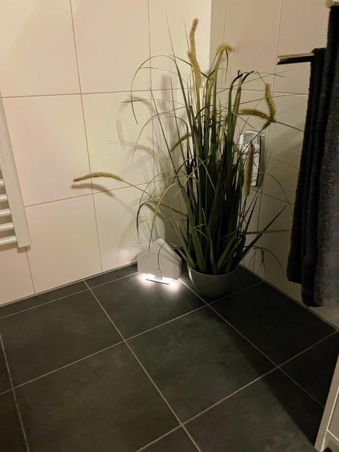 Apartment zur Wiege Anhalts Ballenstedt Exterior foto